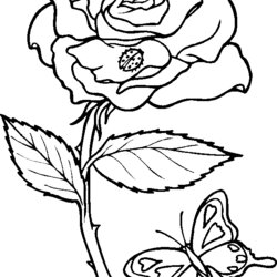Swell Black And White Coloring Pages For Adults Home Popular
