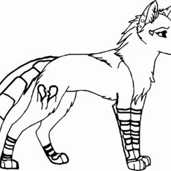 Wolves With Wings Coloring Pages Home Popular