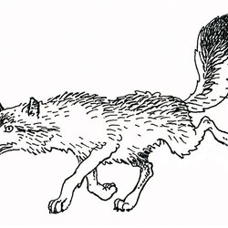 Wonderful Wolves Coloring Pages Wolf Print Color Drawing Visit Animal