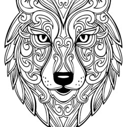 Outstanding Wolf Wolves Adult Coloring Pages Incredible Animals Page