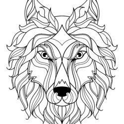 Sublime Big Wolf Head Simple Wolves Adult Coloring Pages