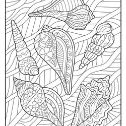 The Highest Standard Summer Adult Coloring Pages Woo Jr Kids Activities Seashells