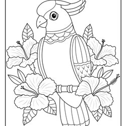 Exceptional Summer Adult Coloring Pages Woo Jr Kids Activities Bird Tropical Free