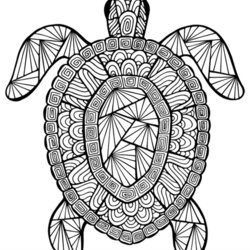 Supreme Free Printable Adult Coloring Pages For Summer Turtle