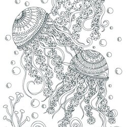 Spiffing Get This Free Adults Printable Of Summer Coloring Pages Adult Ocean Book Fish Books Jellyfish