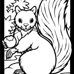 Splendid Fall Coloring Pages Kids