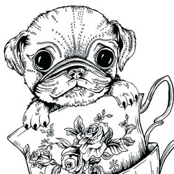 Marvelous Dog Coloring Pages For Adults Best Kids Pug Realistic Colour Doug Teacup Reduction Code Cute