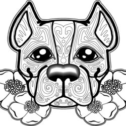 Exceptional Dog Coloring Pages For Adults Best Kids
