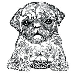 Superb Dog Coloring Pages For Adults Best Kids Nature