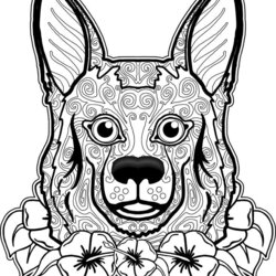 Tremendous Dogs Coloring Pages Difficult Adult Home Dog Skull Adults Animal Print Printable Book Head