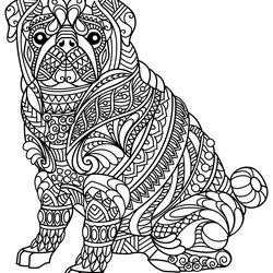 Sterling Bulldog Dogs Kids Coloring Pages Dog Color Simple Animals Children For