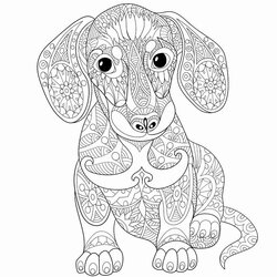 Wizard Colouring Pages For Adults Dogs Select From Printable Coloring Nature