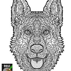 Matchless Dogs Coloring Pages Difficult Adult Home German Shepherd Dog Mandala Adults Printable Sheets Animal