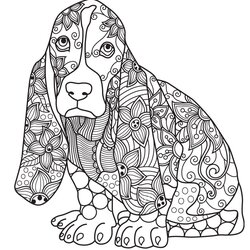 Peerless Hard Coloring Pages Baby Dog Ideas Mandalas Mandala Puppy Dogs Adults Relax Bernese