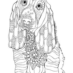 Great Dogs Coloring Pages Dog Book Page Animal Adults Grown
