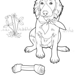 Champion Dogs Coloring Pages Difficult Adult Home Comments