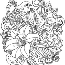 Floral Coloring Pages For Adults Best Kids Bouquet Bird
