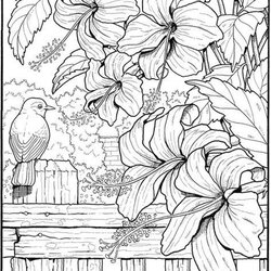 Get This Flower Pattern Coloring Pages To Print For Adults Creative Haven Colouring Book Books Dover Adult