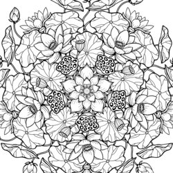 Superior Floral Coloring Pages For Adults Best Kids Mandala Lotus Printable Flower Pattern Mindfulness Large