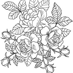 High Quality Floral Coloring Pages For Adults Best Kids Page