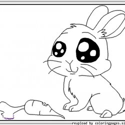 Free Printable Cute Coloring Pages Bunny Bunnies Rabbits Kids