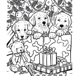 Free Cute Coloring Pages Printable Christmas Sheets Husky Adult Mandala Colouring