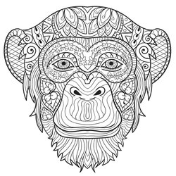 Great Free Adult Coloring Pages Creatively Calm Studios Monkey Adults Animals Printable Hard Print Colouring