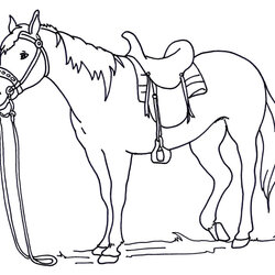 Super Horse Coloring Pages At Free Printable Horses Print Color