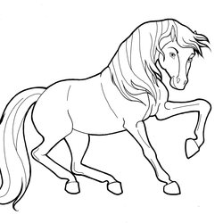 Draft Horse Coloring Pages Home Horses Foal Comments
