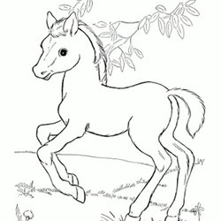 Wizard Fun Horse Coloring Pages For Your Kids Printable Tracing