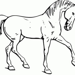 Legit Fun Horse Coloring Pages For Your Kids Printable Page