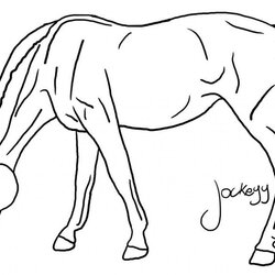 Fine Coloring Pages Of Horses Image Animal Place Horse Kids Color Printable Pinto Printing Drawing Print