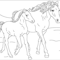Out Of This World Coloring Pages Horse Best Collections Horses Baby Wild Print Printable Kids Drawing Color