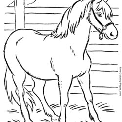 Terrific Coloring Book Pages Of Horses Horse Print