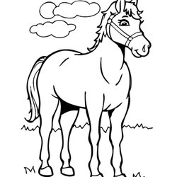 Excellent Top Free Printable Horse Coloring Pages Online Color Toddler Best Your Will Love To