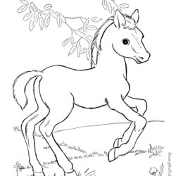 Eminent Coloring Page Of Horse To Print Pages Printable Horses Animal Color Kids Colouring Printing Sheet
