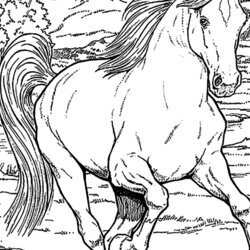 Splendid Horse Coloring Pages For Kids Visual Arts Ideas Free Printable