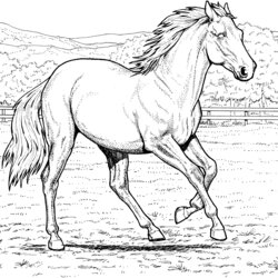 Admirable Free Printable Horse Coloring Pages For Kids Real Race