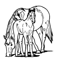 Fantastic Coloring Pages Free Horse Home Printable Popular