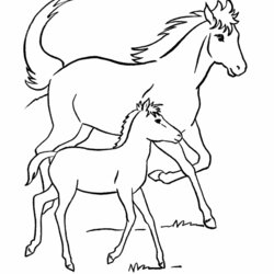 Free Horse Pictures To Print Coloring Home