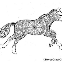 Peerless Horse Coloring Pages And Drawing Print Printable Draft Computer Gorgeous Template Open File Just