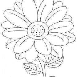 Terrific Beautiful Printable Flowers Coloring Pages Daisy