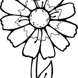 Legit Flower Coloring For Kids Flowers Printable Even Check