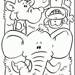 Exceptional Animal Coloring Pages Best For Kids Jungle