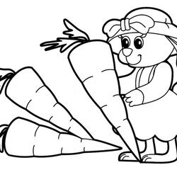 Wizard Coloring Page Animals Home Pages