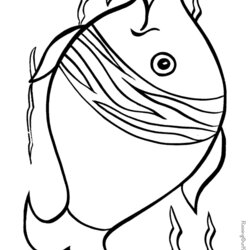 Perfect Animal Coloring Pages Kids Fish Animals Printable Colouring Print Tiara Preschool Russell Patterns