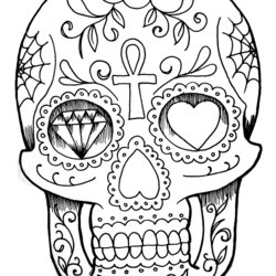Capital Skull Hand Drawing Adult Coloring Drawn Pages