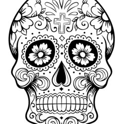 Adult Coloring Pages Skull