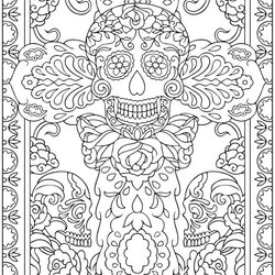 Superior Skulls Coloring Pages Home Color Adults Printable