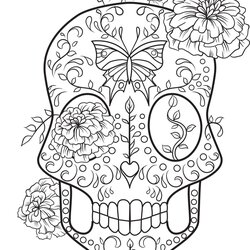 Outstanding Coloring Pages Free Images Printable Wonder Day